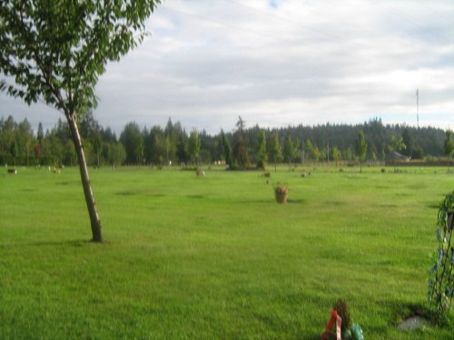 Commonwealth War Graves Courtenay Municipal Cemetery #1