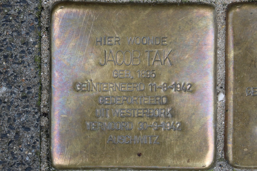 Stolpersteine Rijnstraat 19 #2