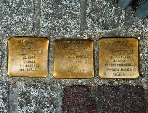 Stolpersteine Bertoldstrae 54 #1