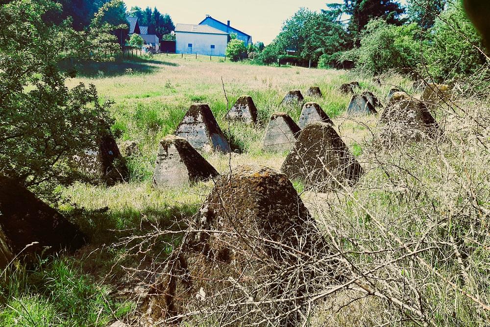 Westwall - Tank Barrier Udenbreth #3