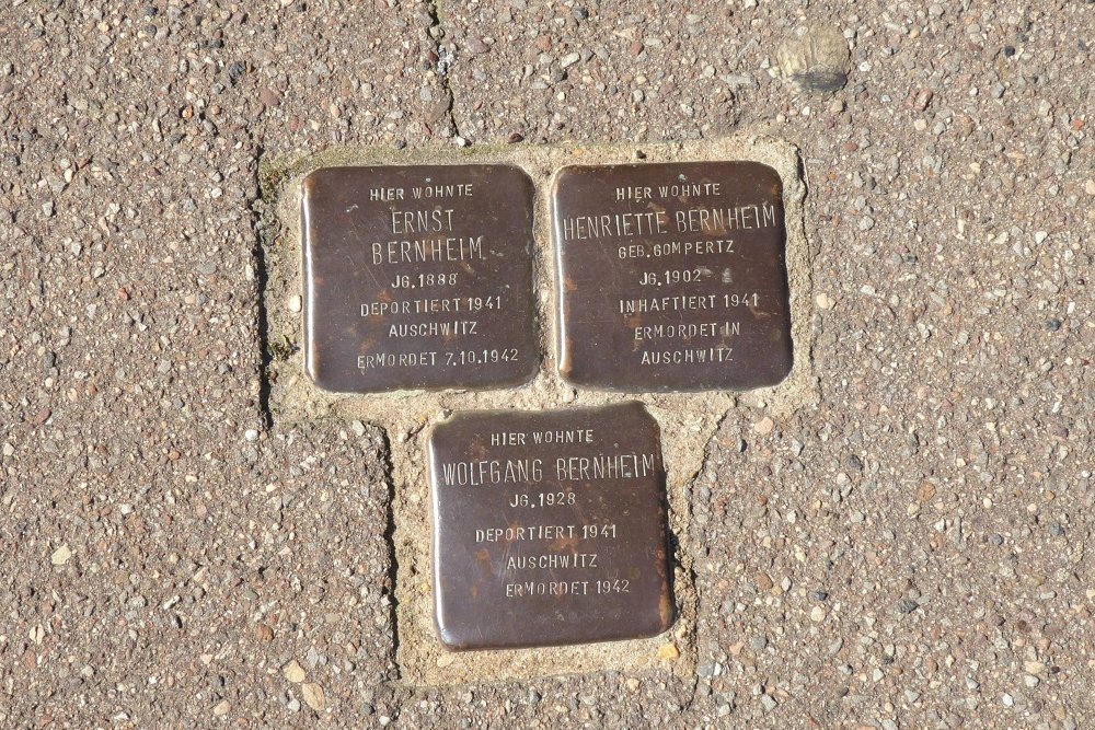 Stolpersteine Bonner Strae 43