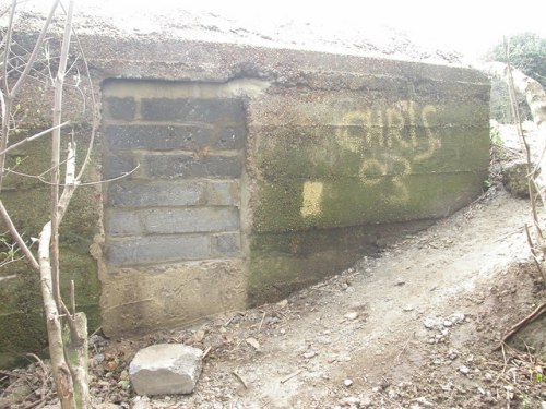 Pillbox FW3/24 Bexhill #1