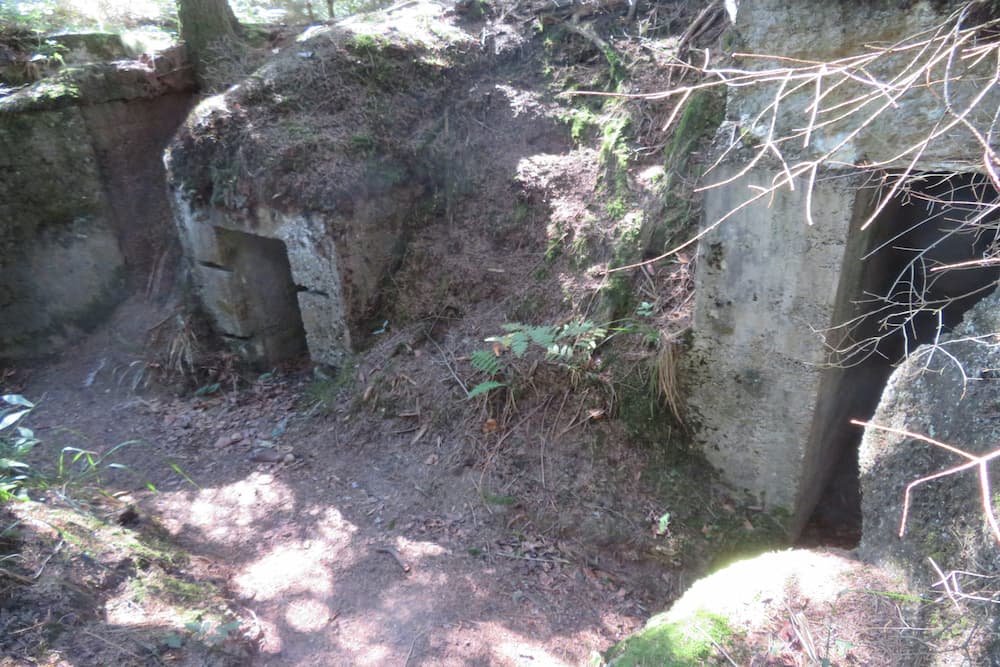 Artillery Bunkers Col du Donon #3