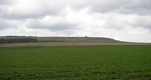 Monument Slag bij Lisonya 1916 #2