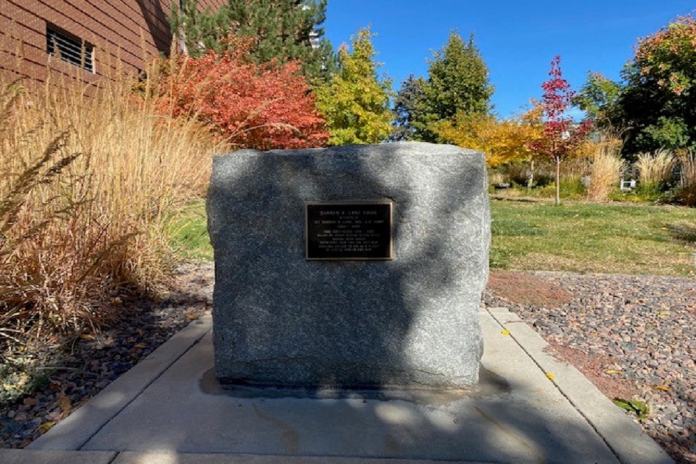 Monument Eerste Lt. Sharon A. Lane, Army Nurse Corps