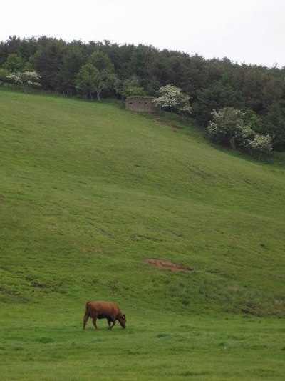 Lozenge Pillbox Hazelrigg #1