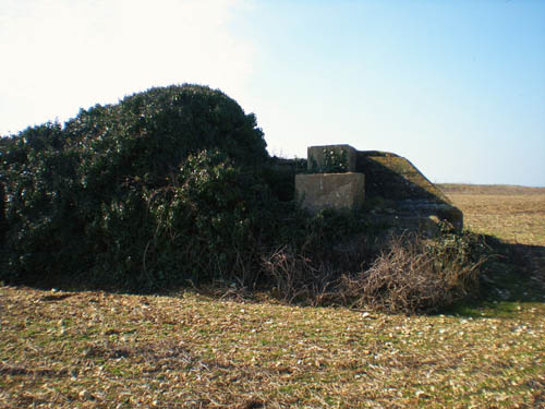 German Anti-aircraft Battery Queille #3