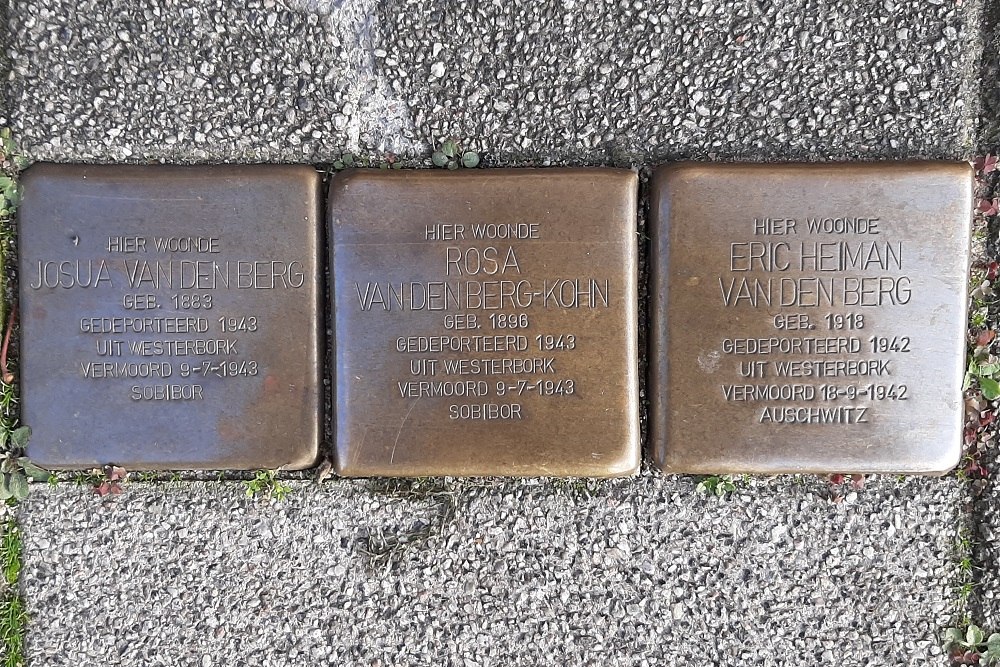 Stolpersteine Bergsingel 226b #1