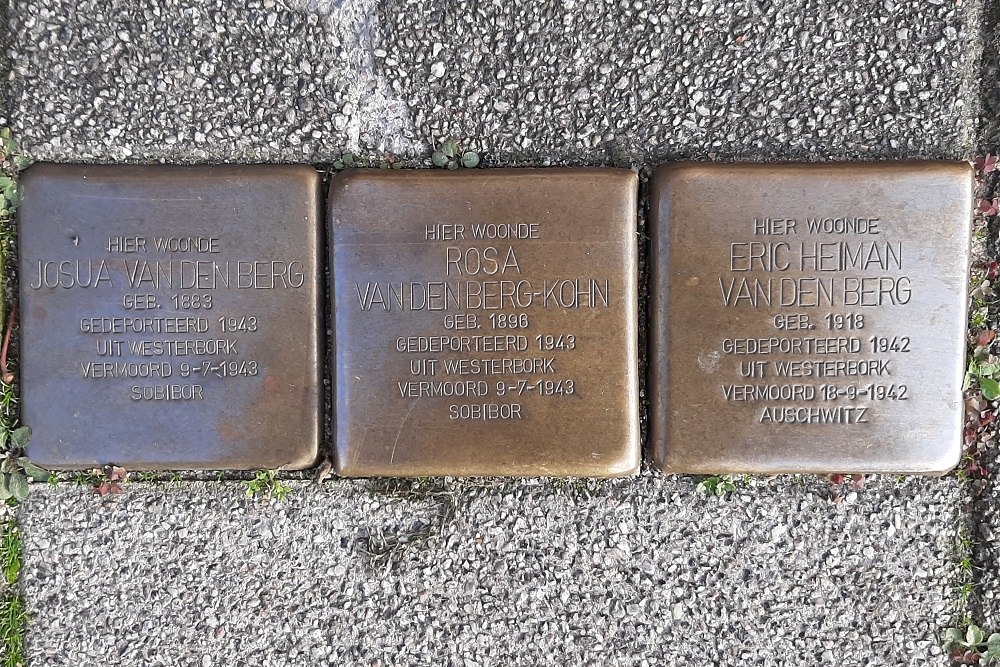 Stolpersteine Bergsingel 226b #1