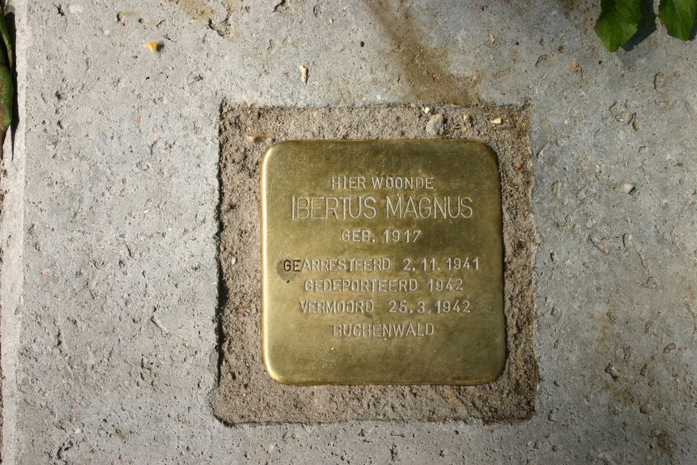 Stolperstein Kraneweg 75