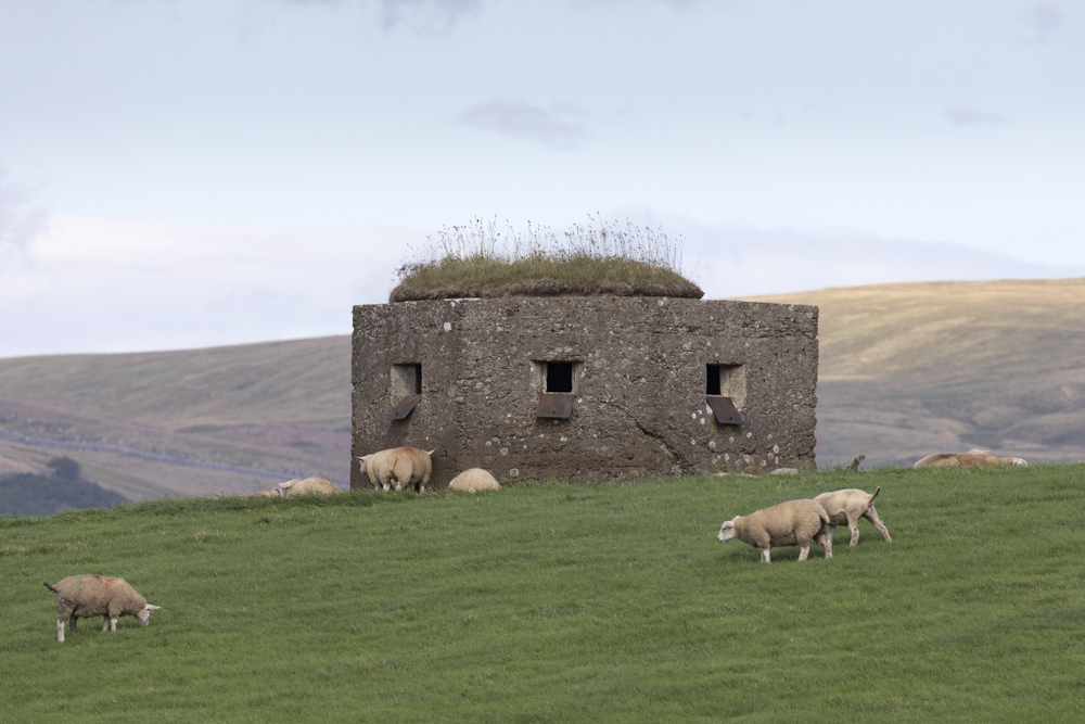 Pillbox FW3/24 Kirkby Stephen #1