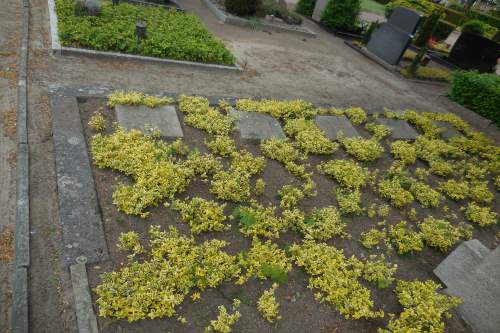 German War Cemetery Oeding #2