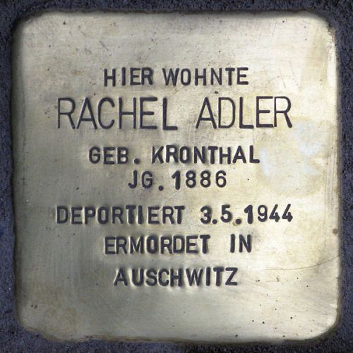 Stumbling Stones Friedelstraße 47 #2