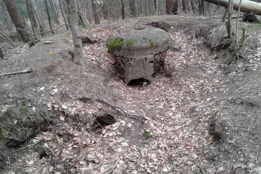 Kochbunker 'Korterbosch 1' Montferland #4