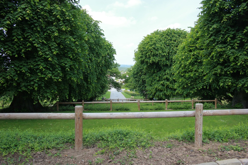 Bourlon Wood Canadian Battlefield Memorial Park #5