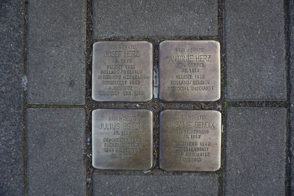 Stolpersteine Klettenberggürtel 11 #1