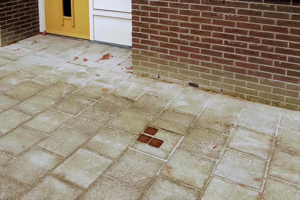 Stumbling Stones Frans Halsstraat 24 #2