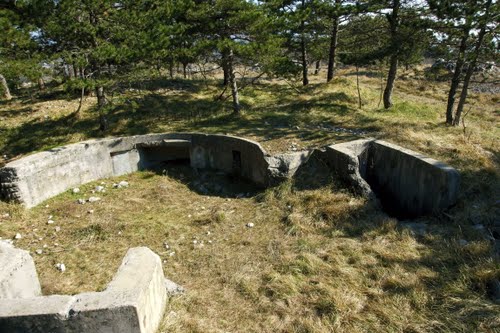 Alpine Wall - Artillery Positions Rijeka #3