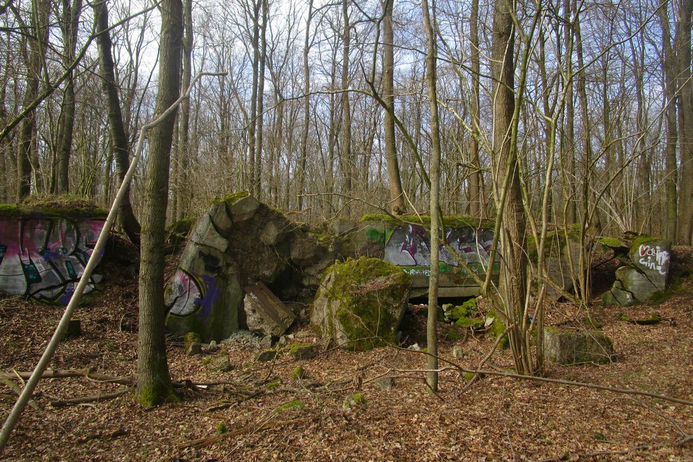 Westwall - Bunker Restanten Augustiner Wald #2