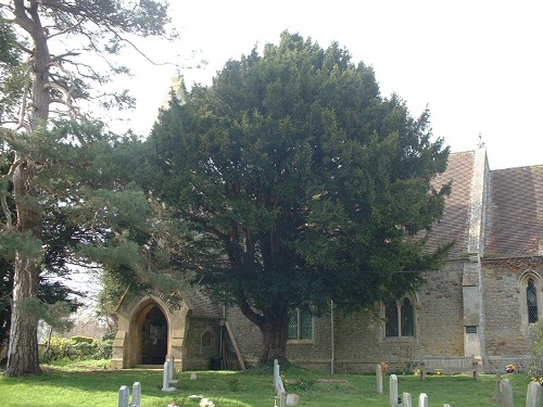 Commonwealth War Grave St. James Churchyard #1