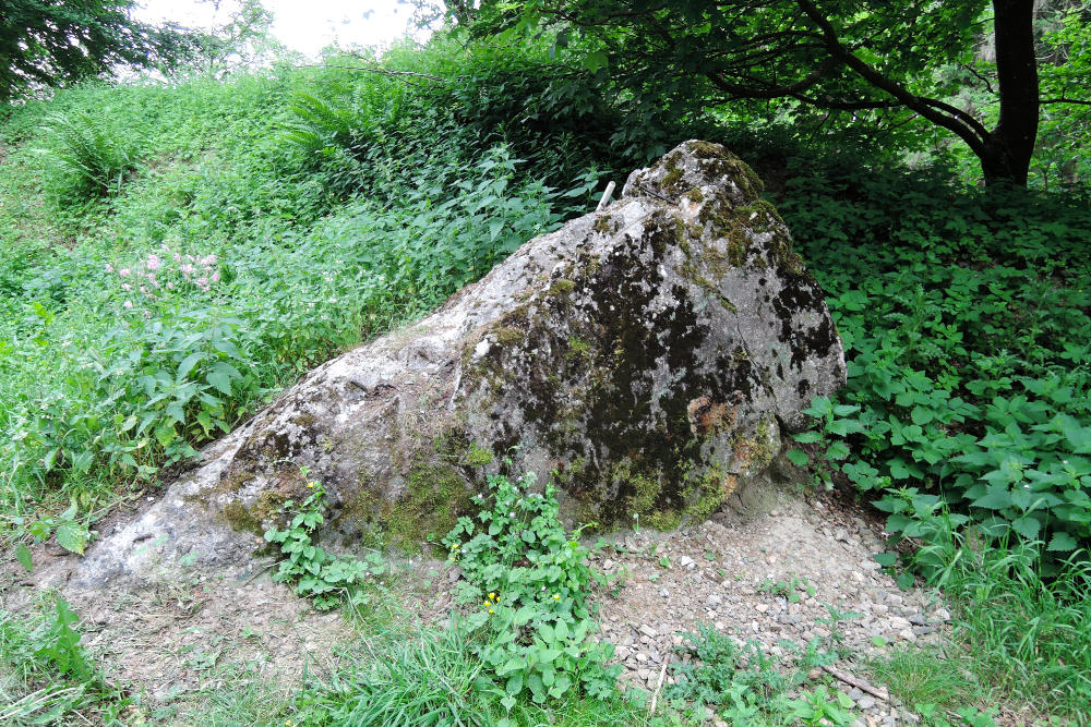 Remains Bunker P2 Hürtgenwald #1