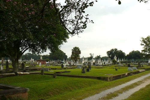 Commonwealth War Grave Little Magnolia Cemetery #1