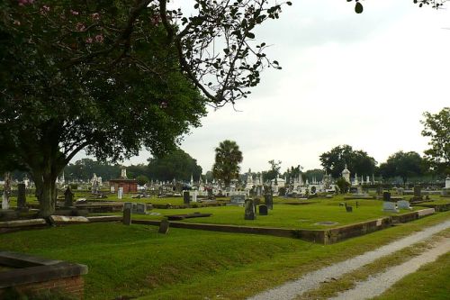 Oorlogsgraf van het Gemenebest Little Magnolia Cemetery #1