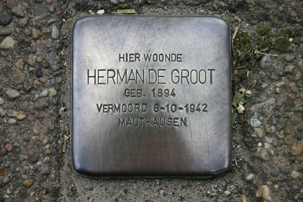 Stolperstein Eesveenseweg 165 #1