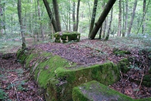 Franse Observatiebunker Petitefontaine #1