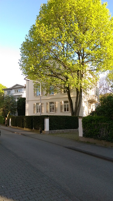 Stumbling Stone Gustav-Freytag-Straße 3 #2