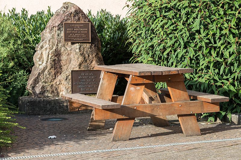 Oorlogsmonument Buschdorf #1