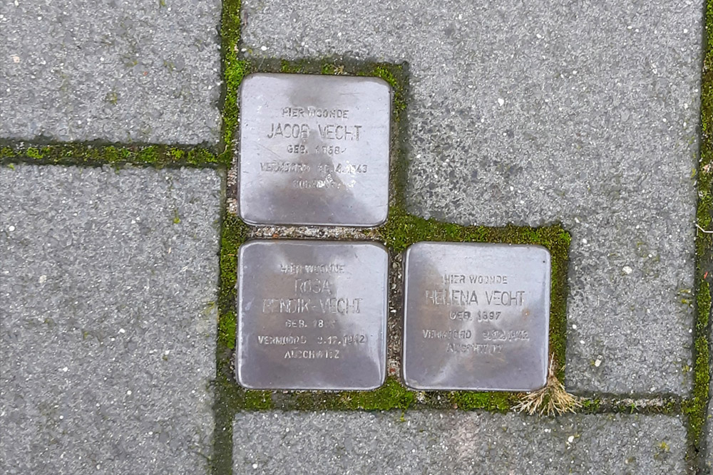 Stolpersteine Rhijnvis Feithlaan 3 #1