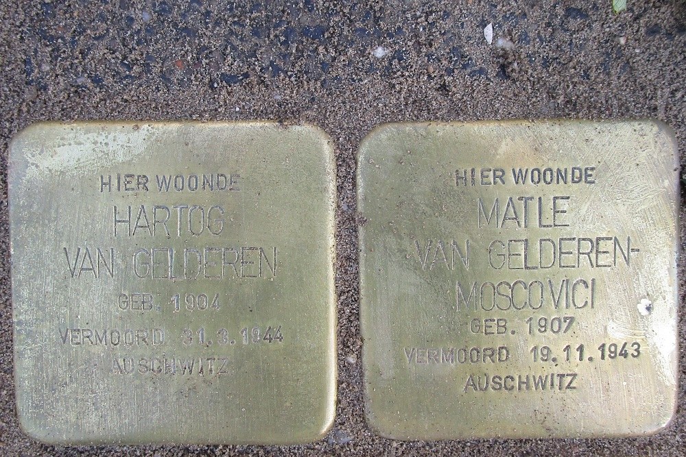 Stolpersteine Van Manderstraat 6 #2