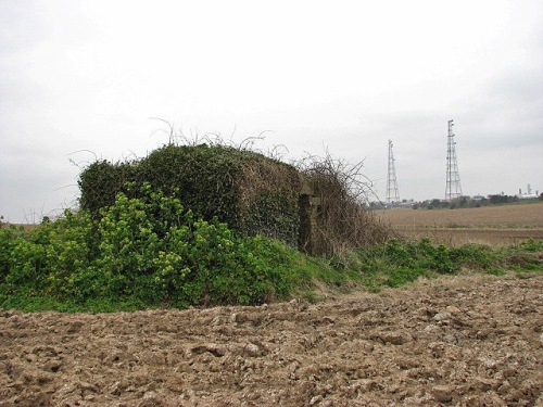Pillbox FW3/24 Bacton #2