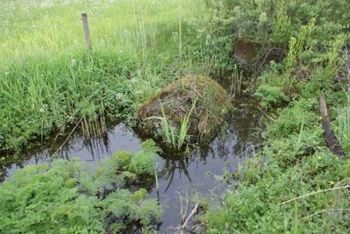 Dutch Road Barriers #1