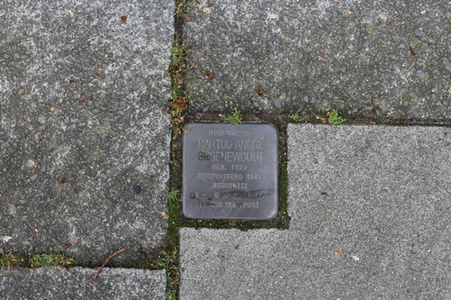 Stolperstein Helmerslaan 15