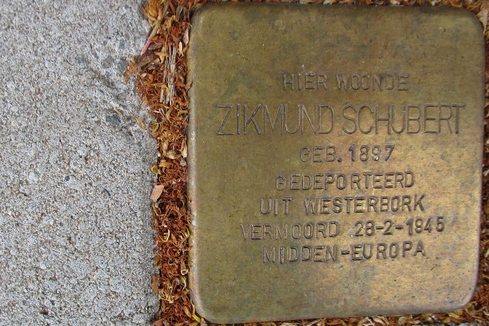 Stumbling Stones Waalstraat 53-I #2