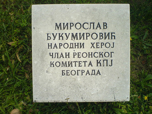 Yugoslav War Graves New Cemetery Belgrado #4