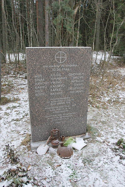 Monument Finse & Zweedse Soldaten #1