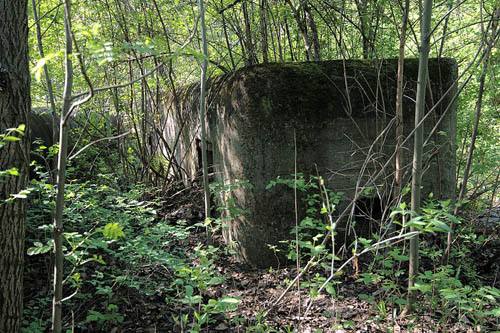 Gefortificeerde Regio Silezië - Anti-tank Kazemat Heuvel 319 #2