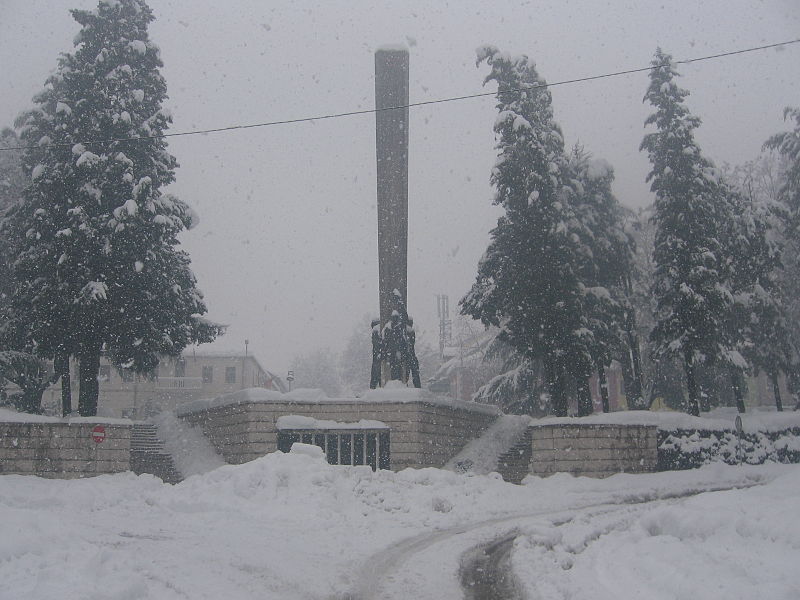 Monument Omgekomen Partizanen Danilovgrad #1