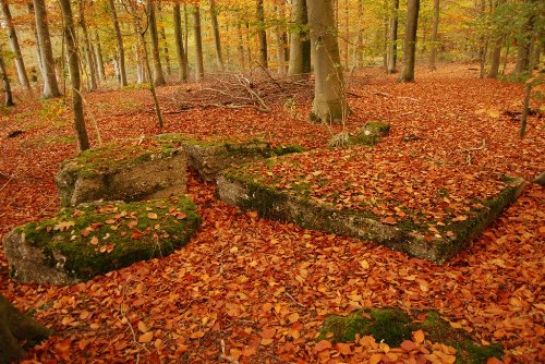 Remains German Bunker Groeneburg Wood #1
