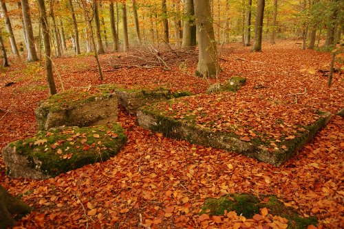 Remains German Bunker Groeneburg Wood