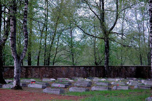 Estonian War Cemetery Kingisepp #1