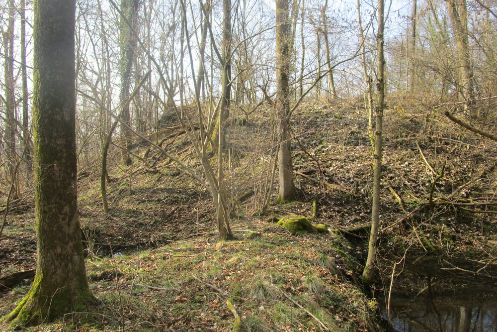 Westwall - Bunker Restanten Augustiner Wald #1