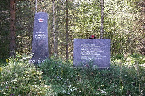 Nationaal Monument Sinyavino Hoogte #5