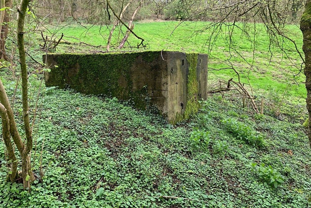 Bunker C - Position Avance Beusdael #3