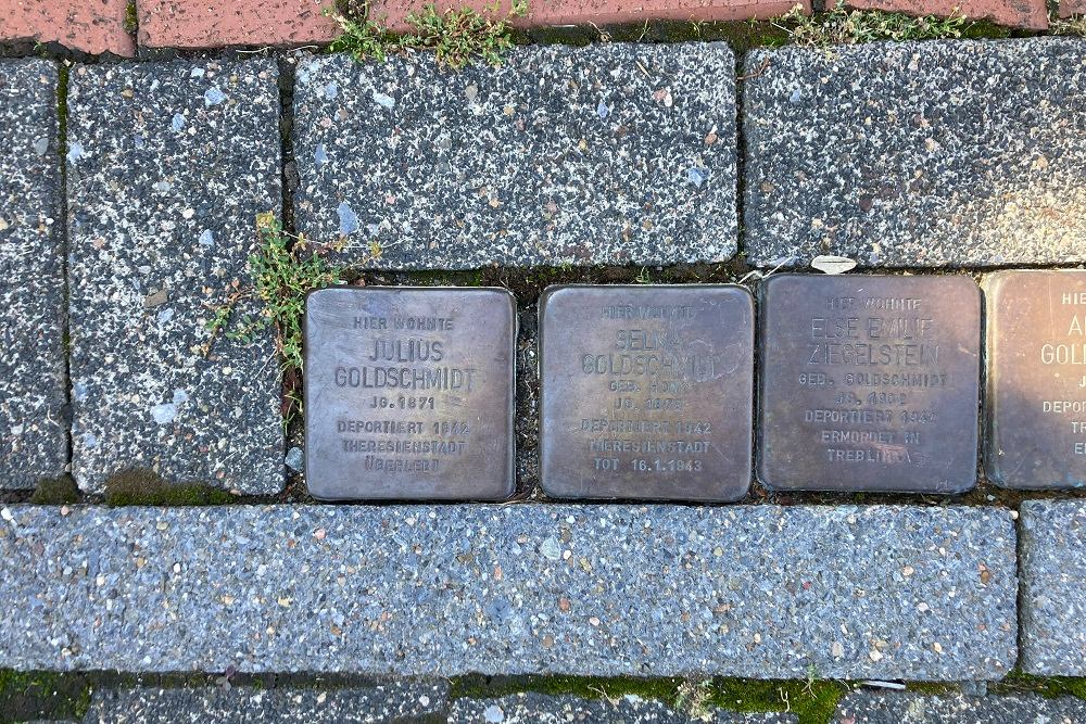 Stumbling Stones Emil-Wolff-Straße #3