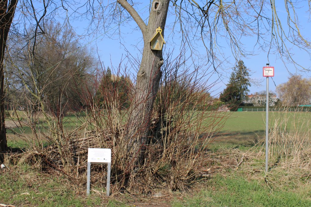 Memorial Wilhelm von Schoenaich - Carolath