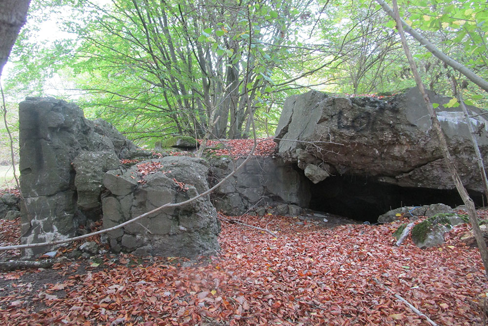 Westwall - Remains Bunker 481 (Regalbau B, MG Schartenstand) #2